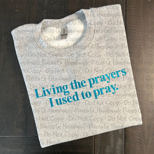 Living the Prayers I used to Pray Embroidered Garment - Adult